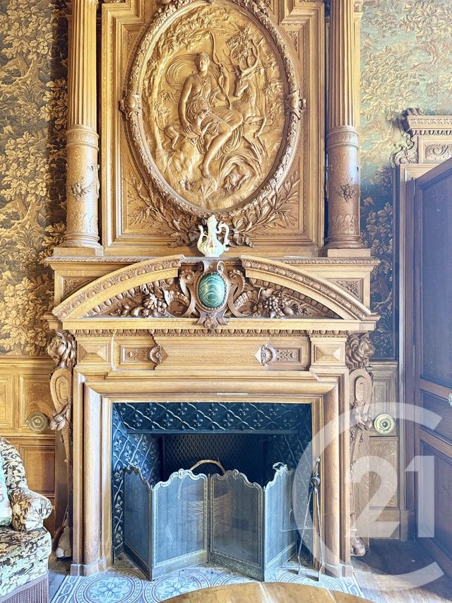 Maison &agrave; vendre - 25 pi&egrave;ces - 785 m2 - Thionne - 03 - AUVERGNE