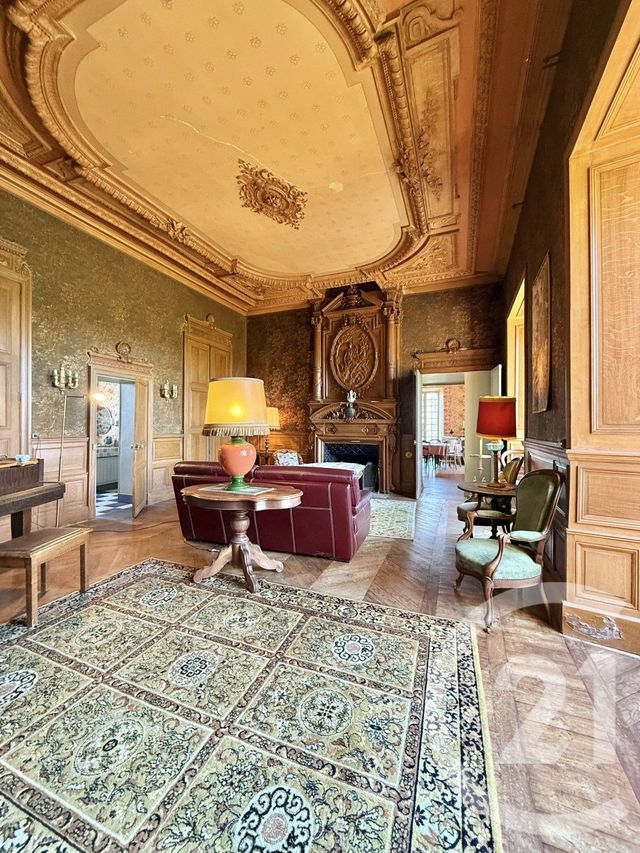 Maison &agrave; vendre - 25 pi&egrave;ces - 785 m2 - Thionne - 03 - AUVERGNE