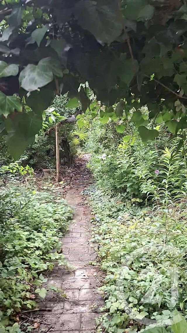 maison - VALENTON - 94