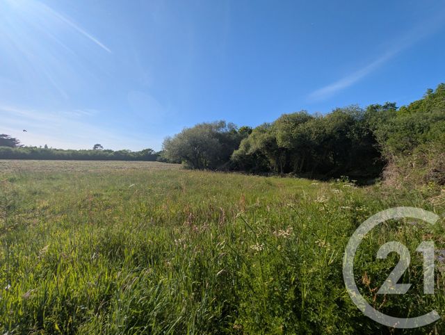 terrain - ARZON - 56