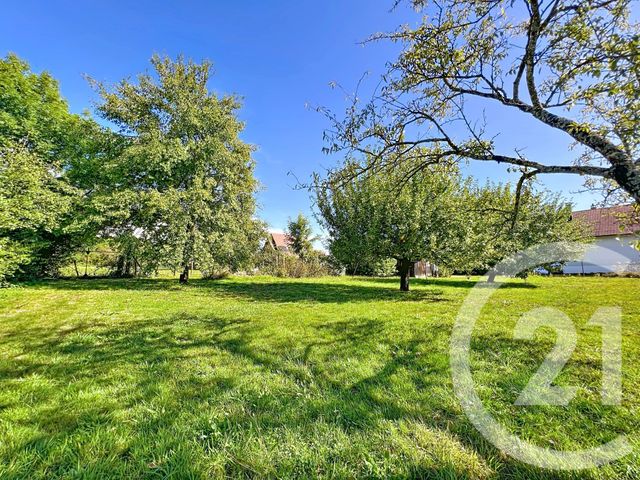 Maison à vendre - 6 pièces - 116 m2 - Montbeliard - 25 - FRANCHE-COMTE