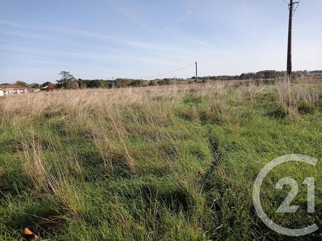 Terrain &agrave; vendre - 1959 m2 - Bonnegarde - 40 - AQUITAINE
