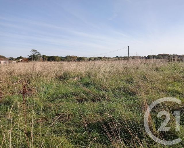 Terrain &agrave; vendre - 1959 m2 - Bonnegarde - 40 - AQUITAINE