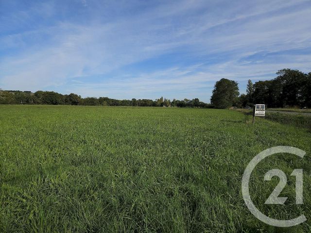 Terrain &agrave; vendre - 33929 m2 - Sault De Navailles - 64 - AQUITAINE