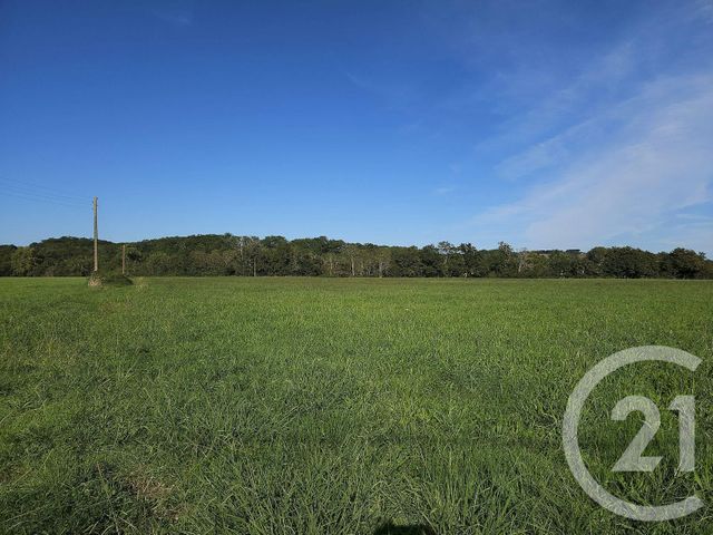 Terrain &agrave; vendre - 33929 m2 - Sault De Navailles - 64 - AQUITAINE