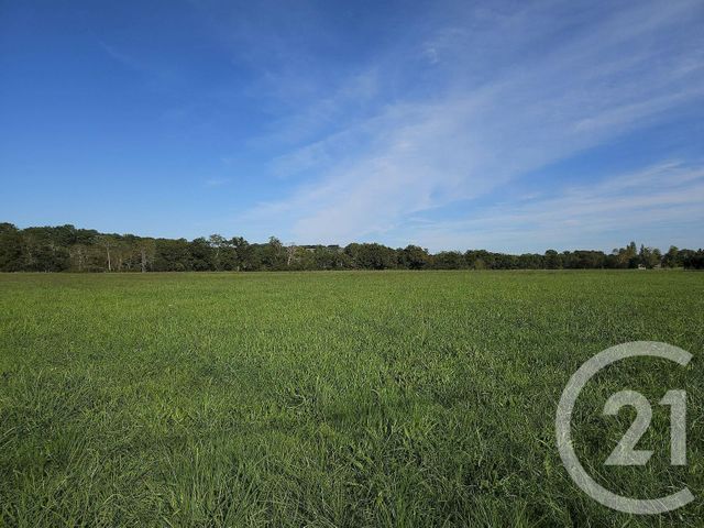 Terrain &agrave; vendre - 33929 m2 - Sault De Navailles - 64 - AQUITAINE