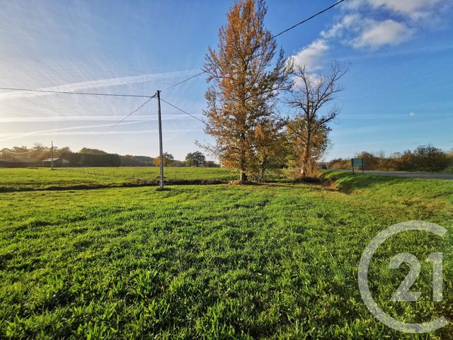 Terrain &agrave; vendre - 29250 m2 - Lacadee - 64 - AQUITAINE