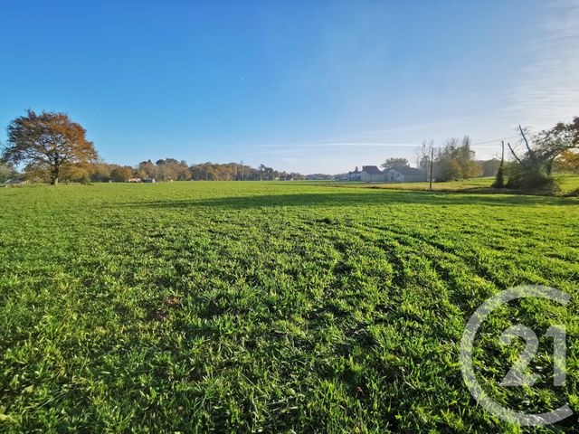Terrain &agrave; vendre - 29250 m2 - Lacadee - 64 - AQUITAINE