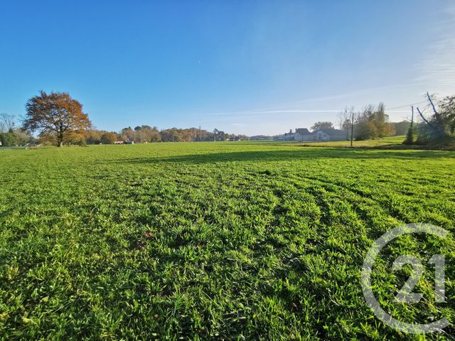 Terrain &agrave; vendre - 29250 m2 - Lacadee - 64 - AQUITAINE