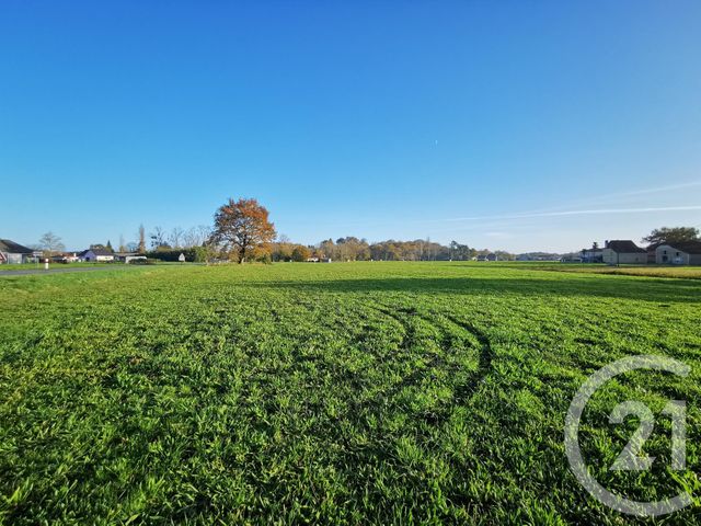 Terrain &agrave; vendre - 29250 m2 - Lacadee - 64 - AQUITAINE