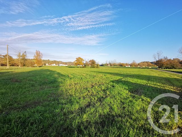 Terrain &agrave; vendre - 20463 m2 - Lacadee - 64 - AQUITAINE