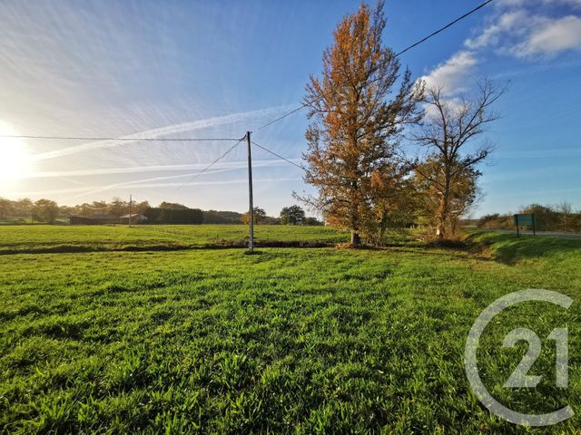 Terrain &agrave; vendre - 20463 m2 - Lacadee - 64 - AQUITAINE
