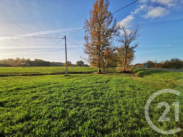 Terrain &agrave; vendre - 28250 m2 - Lacadee - 64 - AQUITAINE