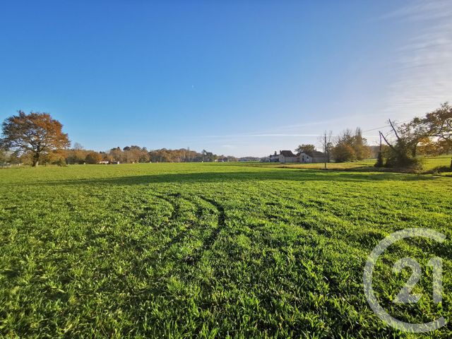 Terrain &agrave; vendre - 28250 m2 - Lacadee - 64 - AQUITAINE