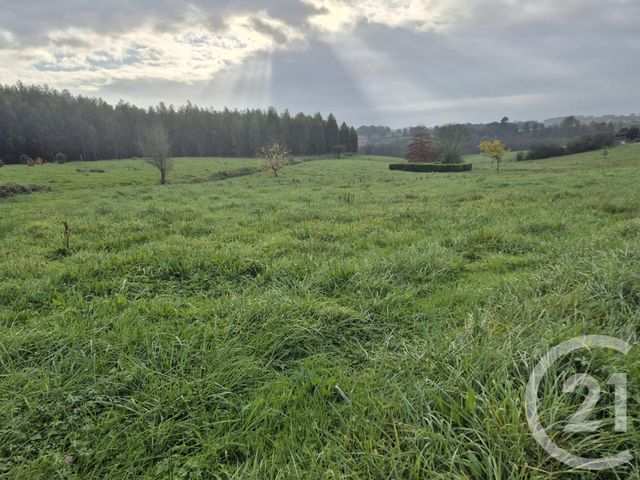 Terrain &agrave; vendre - 2225 m2 - Beyries - 40 - AQUITAINE