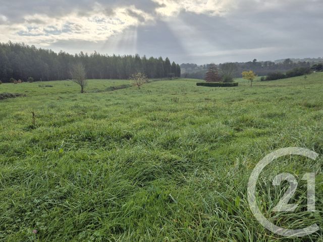 Terrain &agrave; vendre - 2225 m2 - Beyries - 40 - AQUITAINE