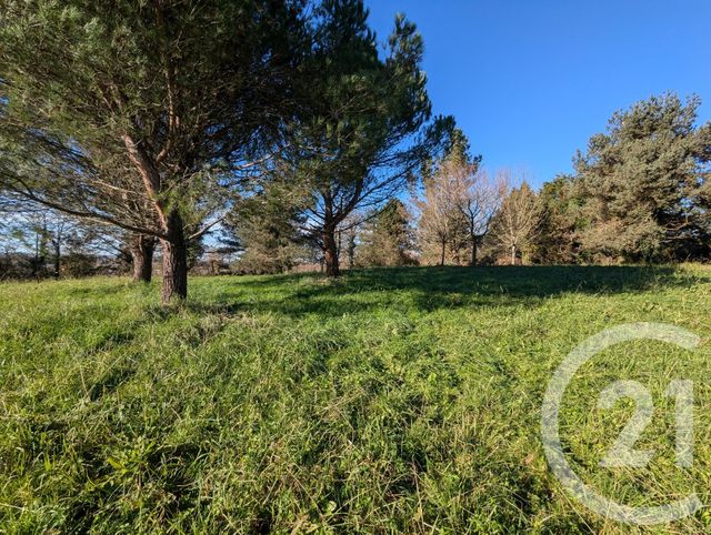 Maison &agrave; vendre - 6 pi&egrave;ces - 287,27 m2 - Orthez - 64 - AQUITAINE