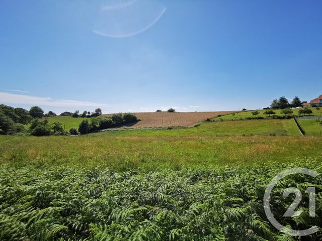 Terrain &agrave; vendre - 1812 m2 - Labeyrie - 64 - AQUITAINE