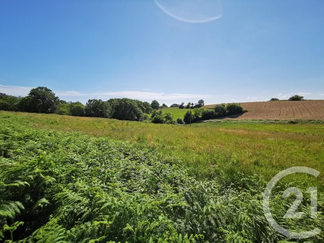 Terrain &agrave; vendre - 1812 m2 - Labeyrie - 64 - AQUITAINE