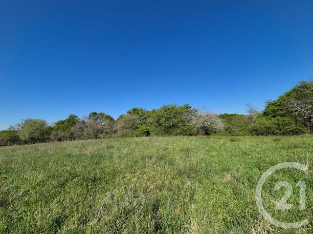 Terrain &agrave; vendre - 2180 m2 - St Medard - 64 - AQUITAINE