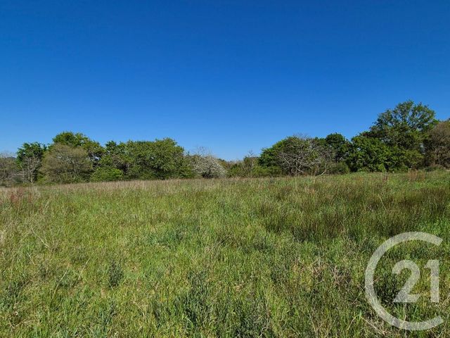 Terrain &agrave; vendre - 2180 m2 - St Medard - 64 - AQUITAINE