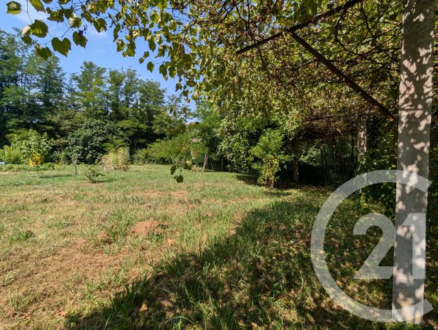 Maison à vendre - 5 pièces - 82 m2 - Puyoo - 64 - AQUITAINE