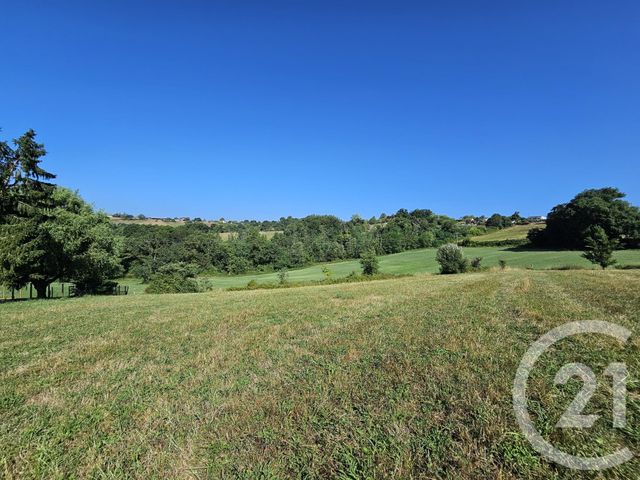 Terrain &agrave; vendre - 3685 m2 - Baigts De Bearn - 64 - AQUITAINE