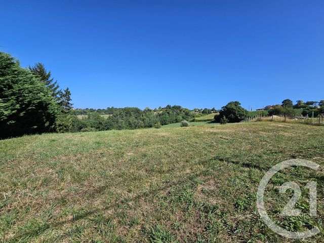 Terrain &agrave; vendre - 3685 m2 - Baigts De Bearn - 64 - AQUITAINE