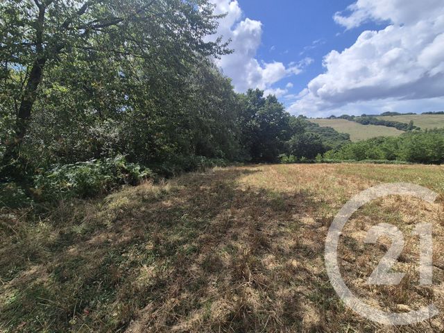 Terrain à vendre - 50595 m2 - Salies De Bearn - 64 - AQUITAINE