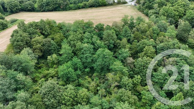 Terrain à vendre - 50595 m2 - Salies De Bearn - 64 - AQUITAINE