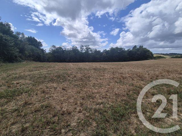 Terrain à vendre - 50595 m2 - Salies De Bearn - 64 - AQUITAINE