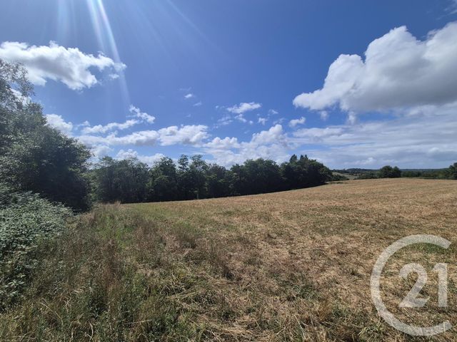 Terrain à vendre - 50595 m2 - Salies De Bearn - 64 - AQUITAINE