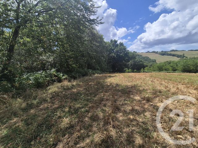 Terrain à vendre - 50595 m2 - Salies De Bearn - 64 - AQUITAINE