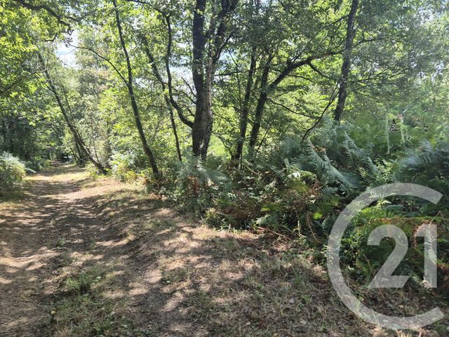 Terrain à vendre - 50595 m2 - Salies De Bearn - 64 - AQUITAINE