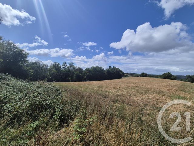 Terrain à vendre - 50595 m2 - Salies De Bearn - 64 - AQUITAINE