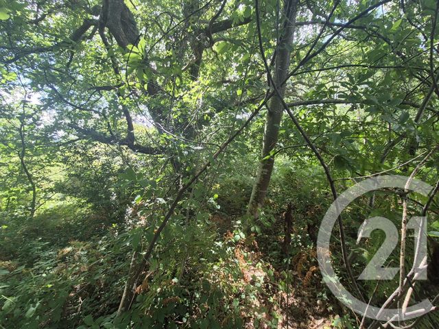 Terrain à vendre - 50595 m2 - Salies De Bearn - 64 - AQUITAINE