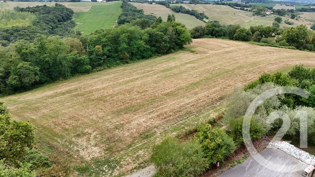 Terrain à vendre - 50595 m2 - Salies De Bearn - 64 - AQUITAINE