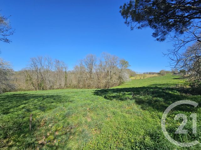 Maison &agrave; vendre - 7 pi&egrave;ces - 159 m2 - Hagetmau - 40 - AQUITAINE