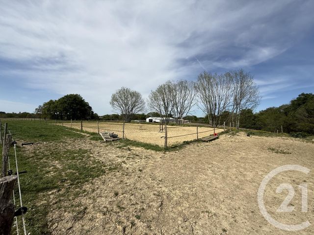 Maison &agrave; vendre - 5 pi&egrave;ces - 193,28 m2 - Amou - 40 - AQUITAINE
