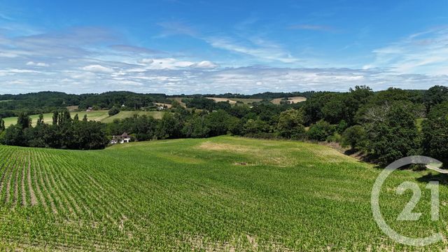 Maison &agrave; vendre - 8 pi&egrave;ces - 316,61 m2 - Orthez - 64 - AQUITAINE