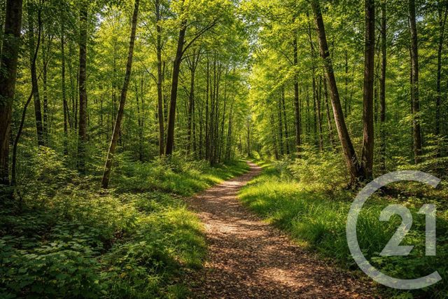 Terrain &agrave; vendre - 188000 m2 - Nesles La Vallee - 95 - ILE-DE-FRANCE