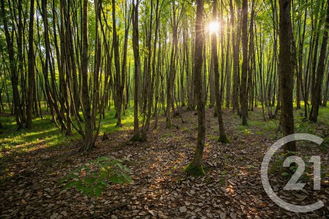 Terrain à vendre NESLES LA VALLEE