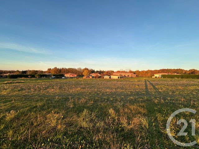 Terrain &agrave; vendre - 5212 m2 - Piquecos - 82 - MIDI-PYRENEES