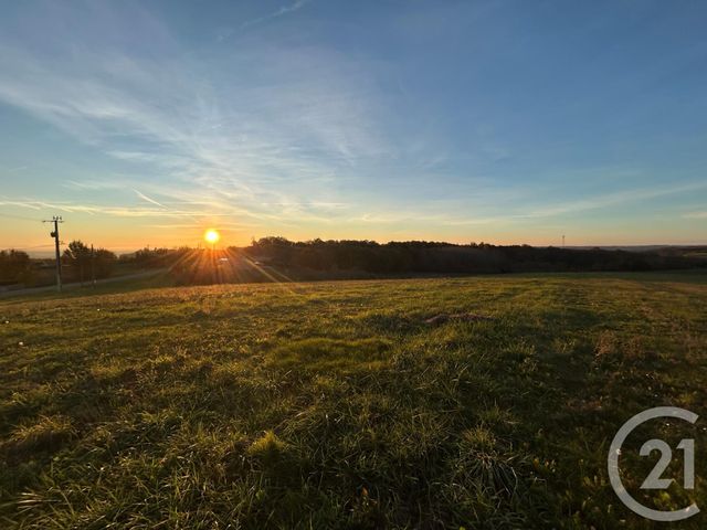 Terrain &agrave; vendre - 7228 m2 - Piquecos - 82 - MIDI-PYRENEES