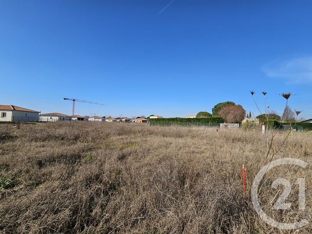 Terrain &agrave; vendre - 815 m2 - Montbeton - 82 - MIDI-PYRENEES