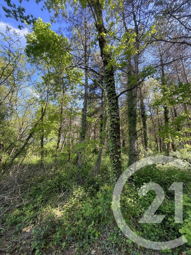 Terrain &agrave; vendre - 34774 m2 - Montauban - 82 - MIDI-PYRENEES