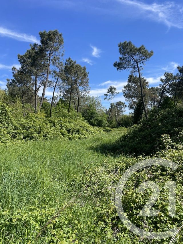 Terrain &agrave; vendre - 34774 m2 - Montauban - 82 - MIDI-PYRENEES