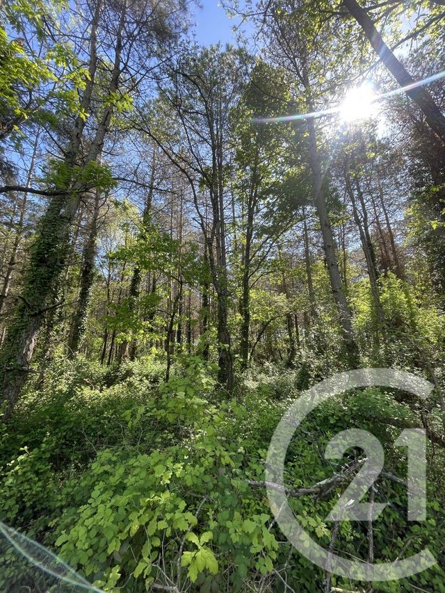 Terrain &agrave; vendre - 34774 m2 - Montauban - 82 - MIDI-PYRENEES