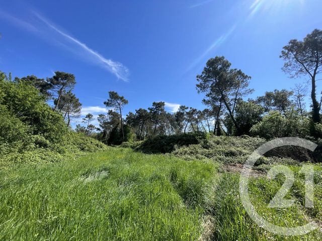 Terrain &agrave; vendre - 34774 m2 - Montauban - 82 - MIDI-PYRENEES