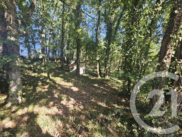 Maison à vendre - 6 pièces - 162 m2 - Vaissac - 82 - MIDI-PYRENEES